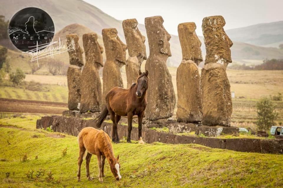 Kahina Lodge ハンガ・ロア エクステリア 写真